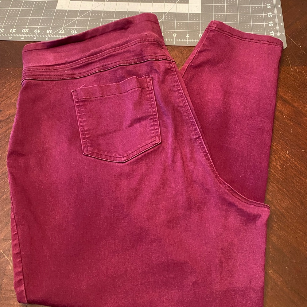 Terra & Sky Women's Deep Burgundy Jeggings